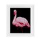 Stupell Industries Contrasting Flamingo on Black Framed Print Under Glass, design by James Corwin